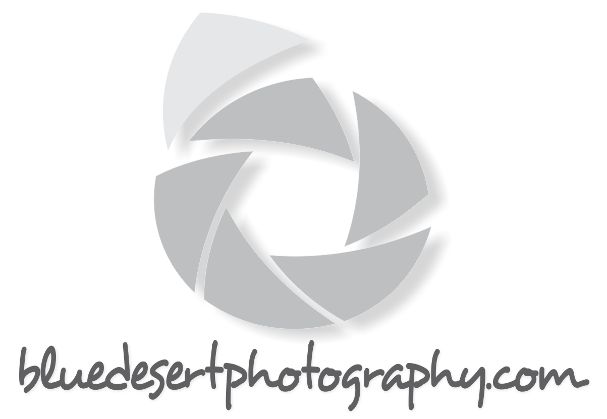 Blue Desert Photography logo