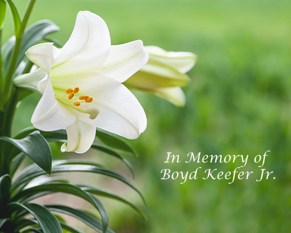 In Memory of Boyd O. Keefer, Jr.