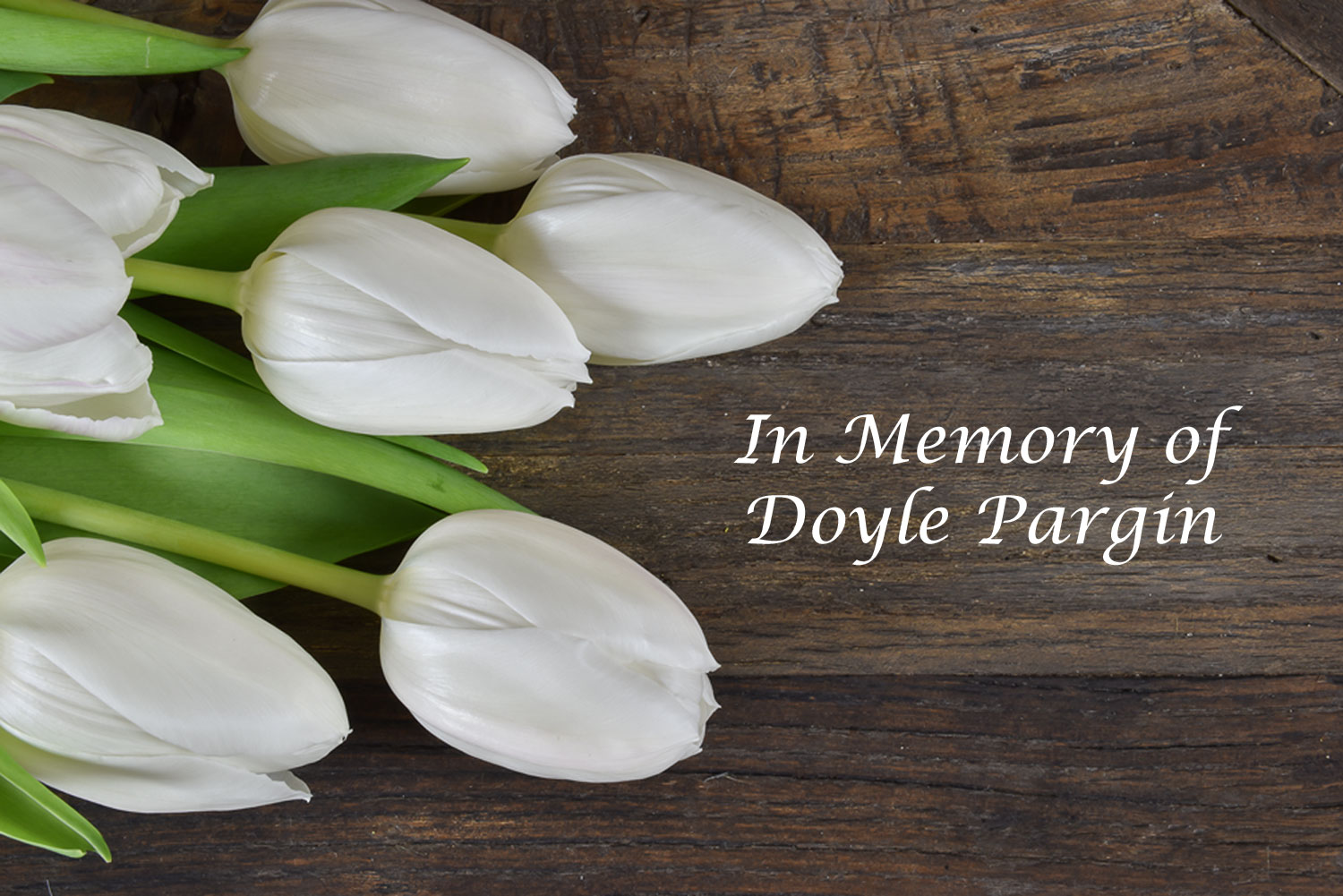A Tribute to Doyle Pargin