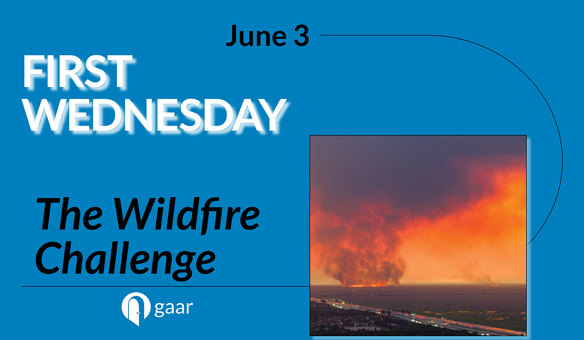 VIEW PRESENTATION - The Wildfire Challenge