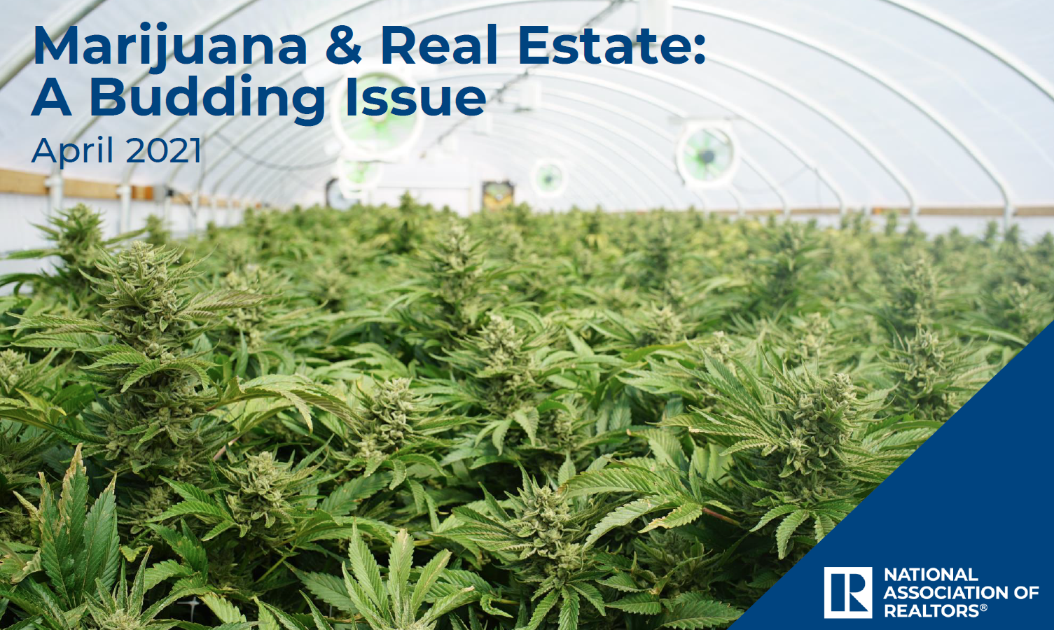 Marijuana & Real Estate: A Budding Issue