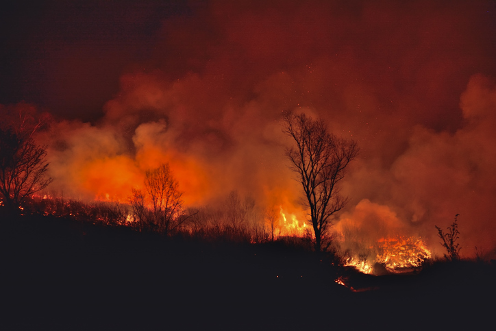 Deadline Extended for $2,000 Grants to NM Wildfire Victims