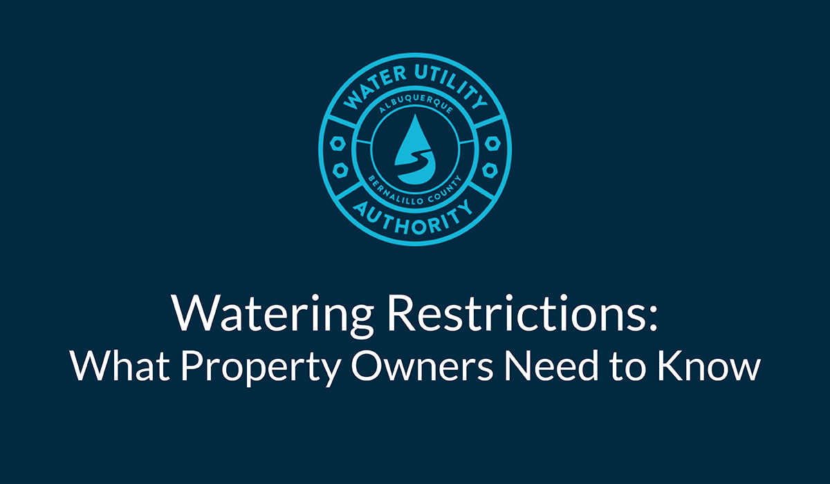 Watering Rules: What’s Required (Even in the Fall Months)