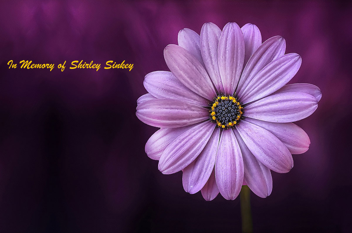In Memory of Shirley Sinkey