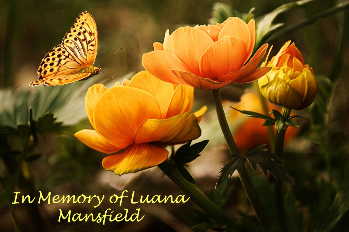 In Memory of Luana B. Mansfield