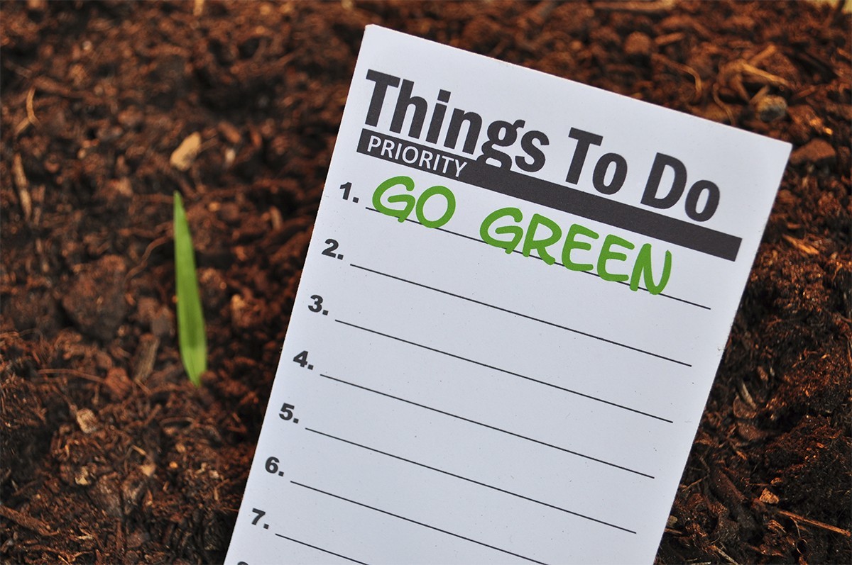 6 Green Terms: Which Ones Can You Trust?