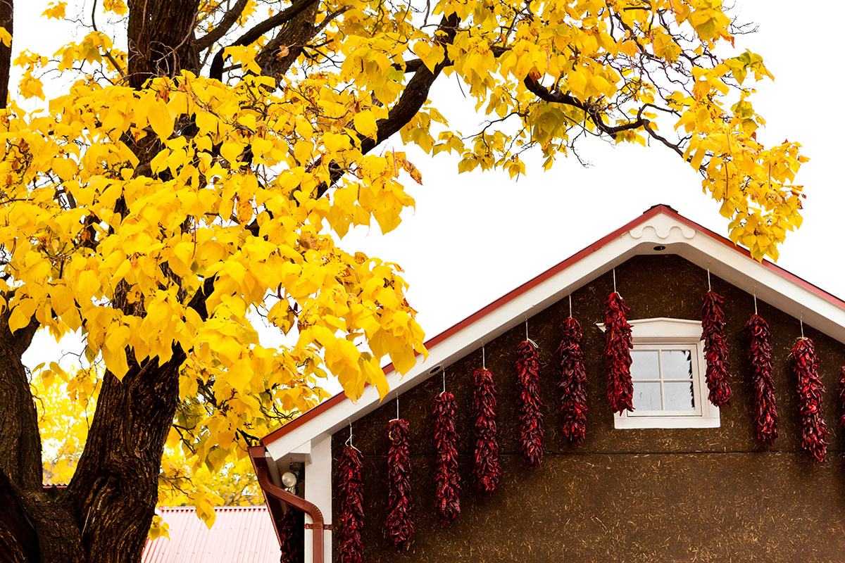 5 Home Maintenance Tips for Fall