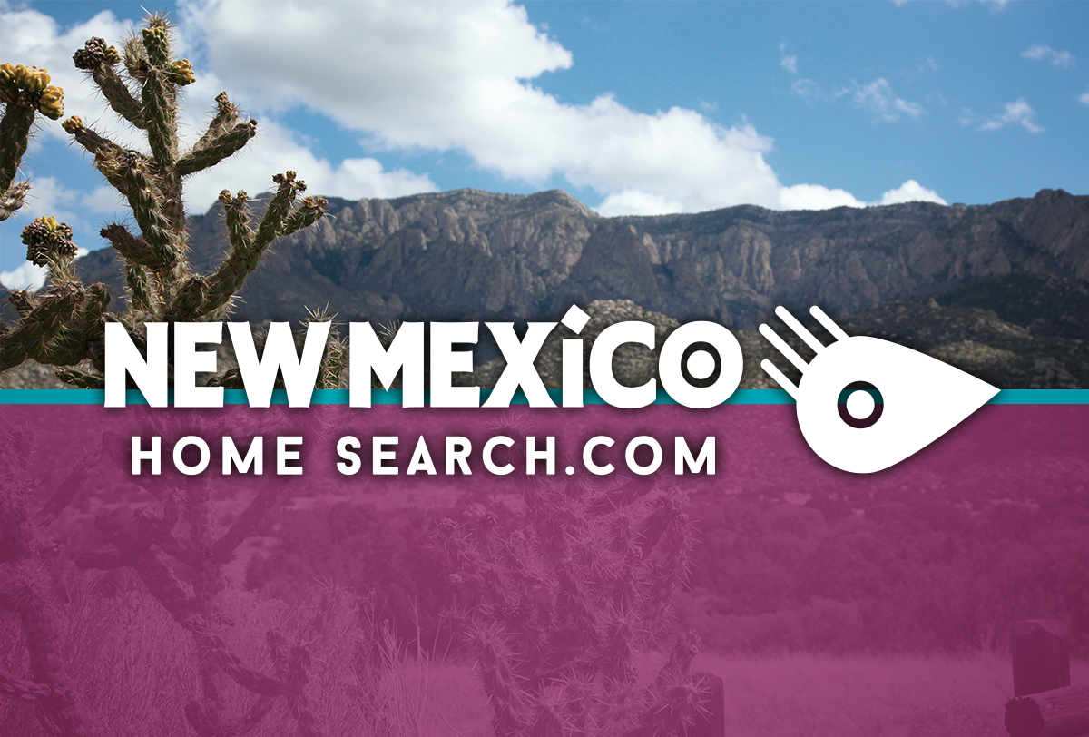 The Future of NewMexicoHomeSearch.com