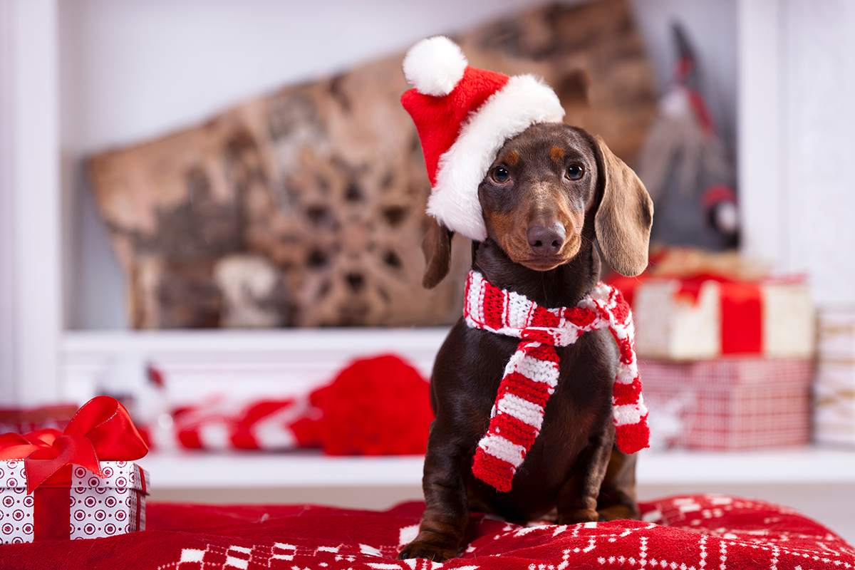 GAAR Office closures during the Holiday Season