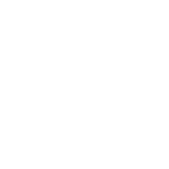 Icon for Tech Tune-Up