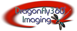 DragonFly 360 Imaging logo